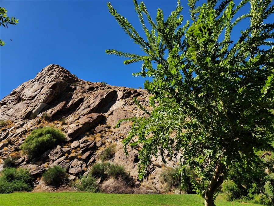 Commercial Property for Sale in Kakamas Rural Northern Cape